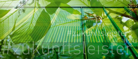 Ein Bild von grünen Pflanzen und vielen Bäumen im Hintergrund, auf dem Bild ist oft der Schriftzug: #zukunftsleister