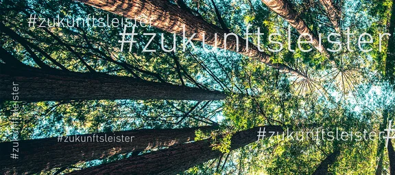 Ein Bannerbild von einem Wald mit grünen Bäumen, das Bild ist mit blickrichtung zum Himmel und auf dem Bild ist oder der Schriftzug: #zukunftsleister