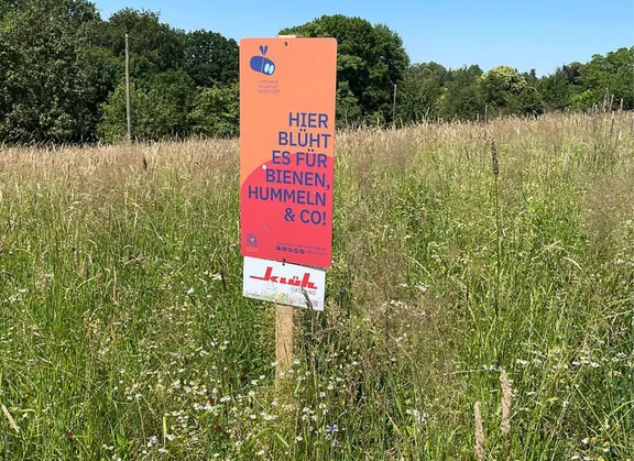 Ein Bild von einer grünen Wiese mit hohem Gras, in der mitte des Wiese ist ein Schild mit der Aufschrift " hier blüht es für Bienen, Hummeln und Co!" und ein Klüh Catering Schild