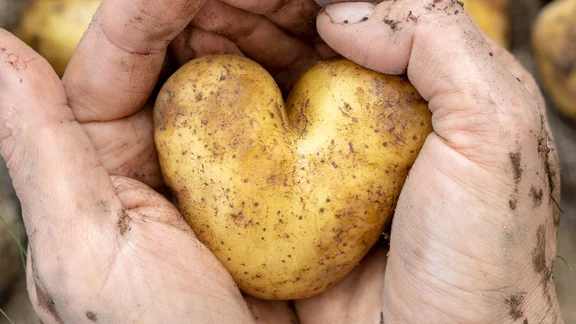 zwei Erdige Hände eine herzförmige Kartoffel und im Hinterhrund sind Kartoffelsäcke und das Klüh Catering Logo ist am Rand des Bildes